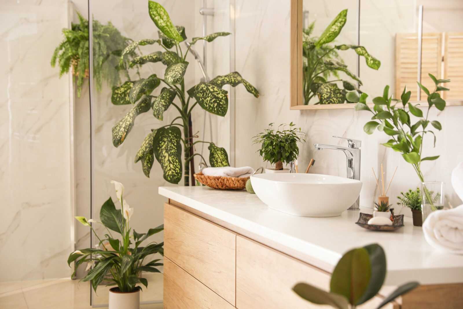 rośliny w łazience 