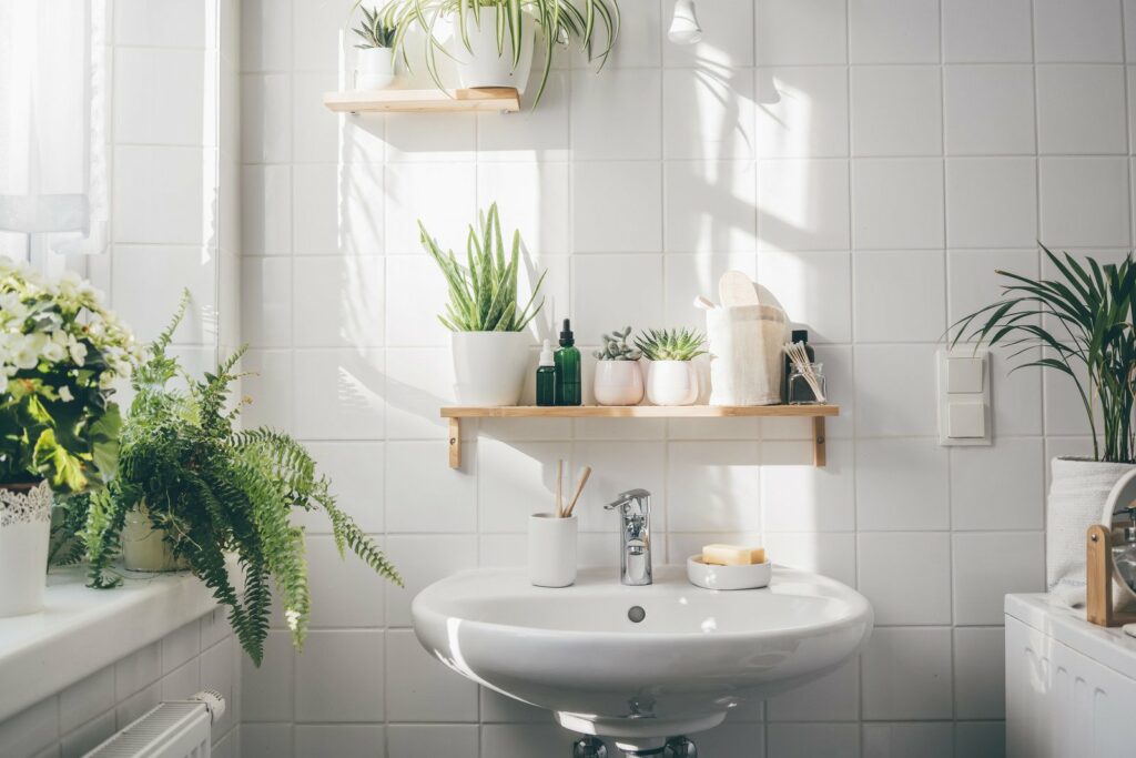 rośliny w łazience