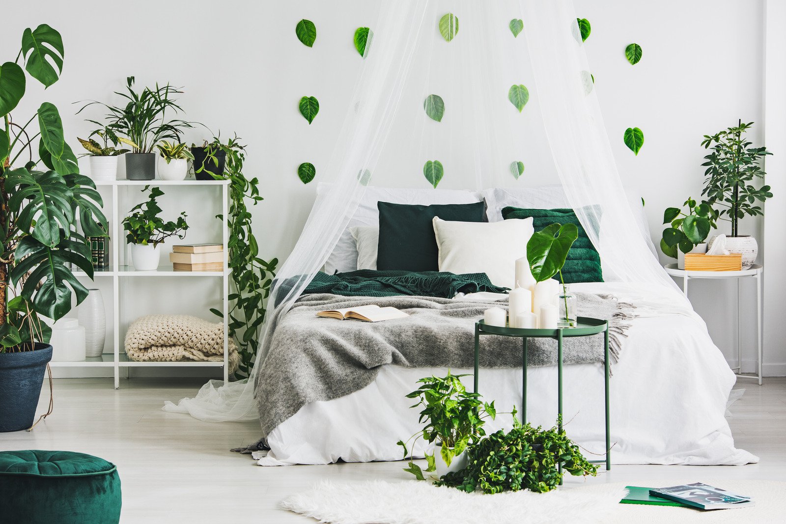 sypialnia z zielonymi elementami, rośliny